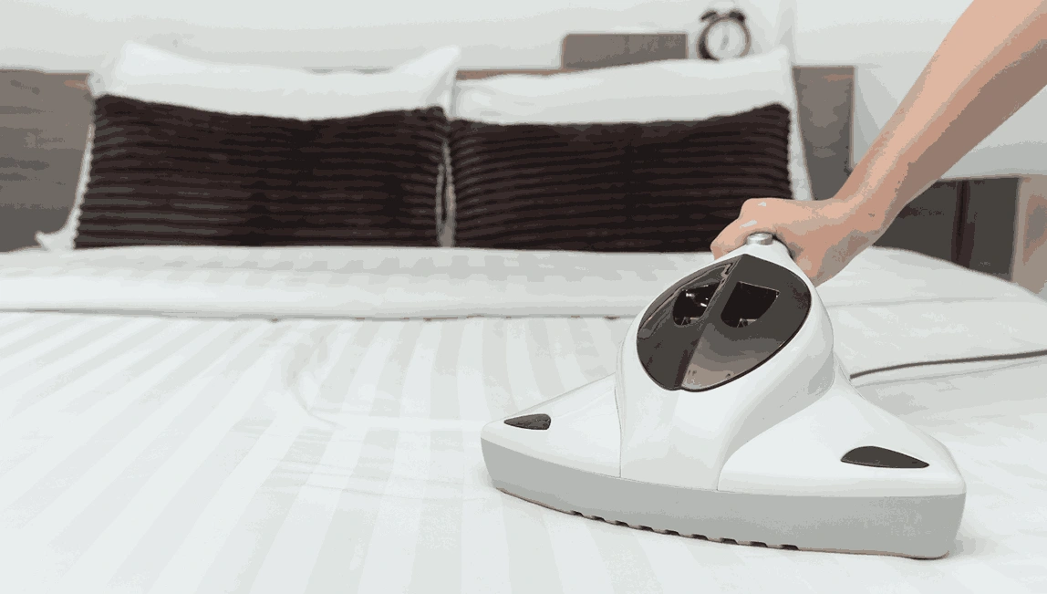 Professional Mattress Cleaning Mount Evelyn